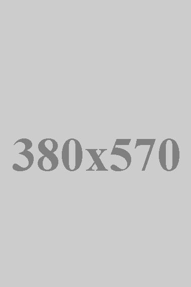 Lorem ipsum dolor sit amet, consectetur adipiscing elit tristique vel.